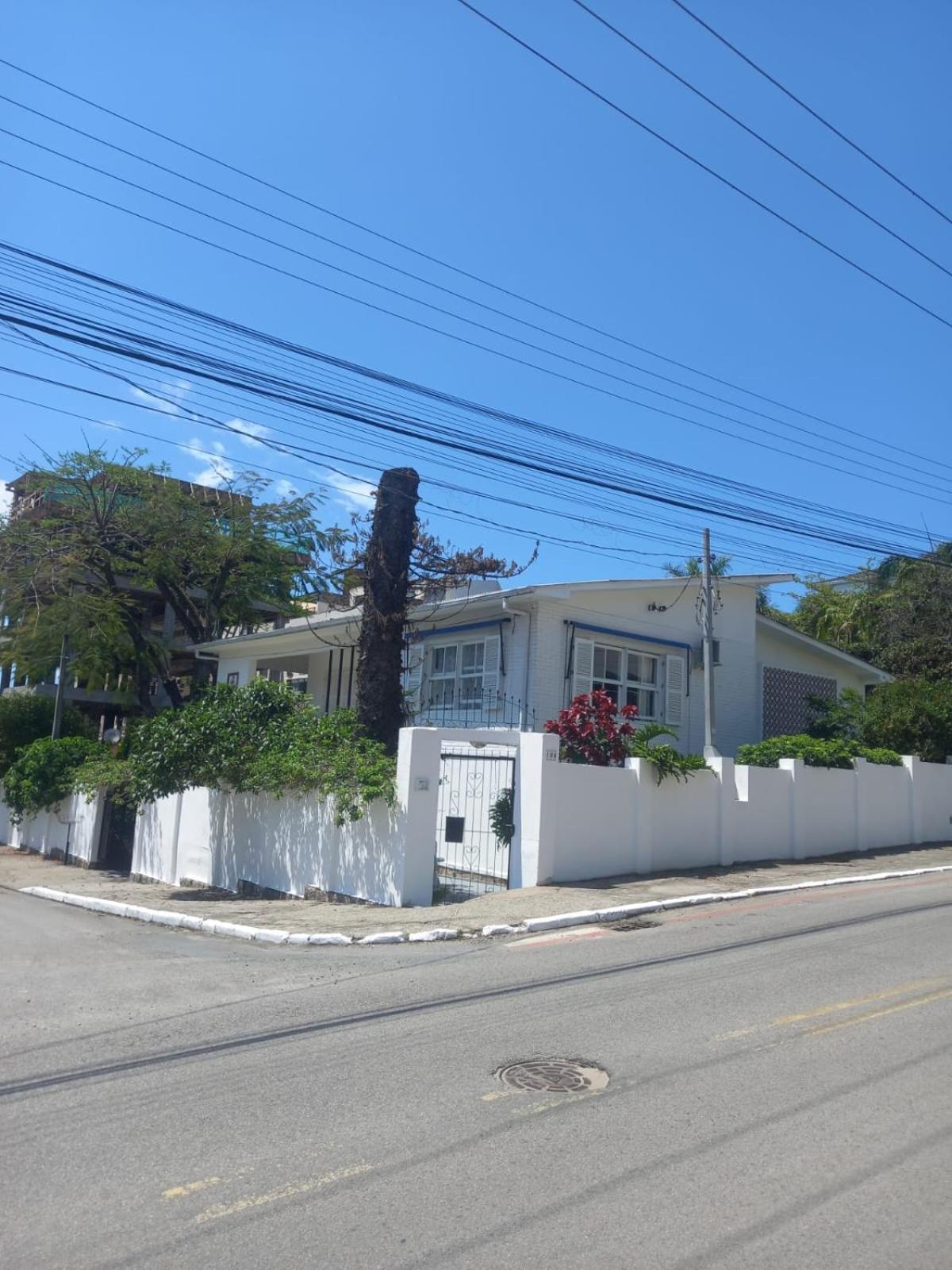 A Primeira Vista — Photos 2